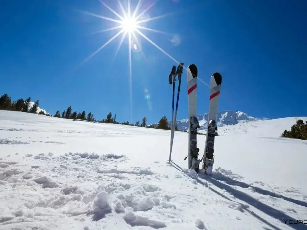 A pair of modern skis resting in the snow