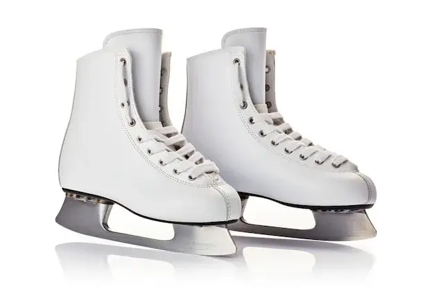 Ice Dancer Skate