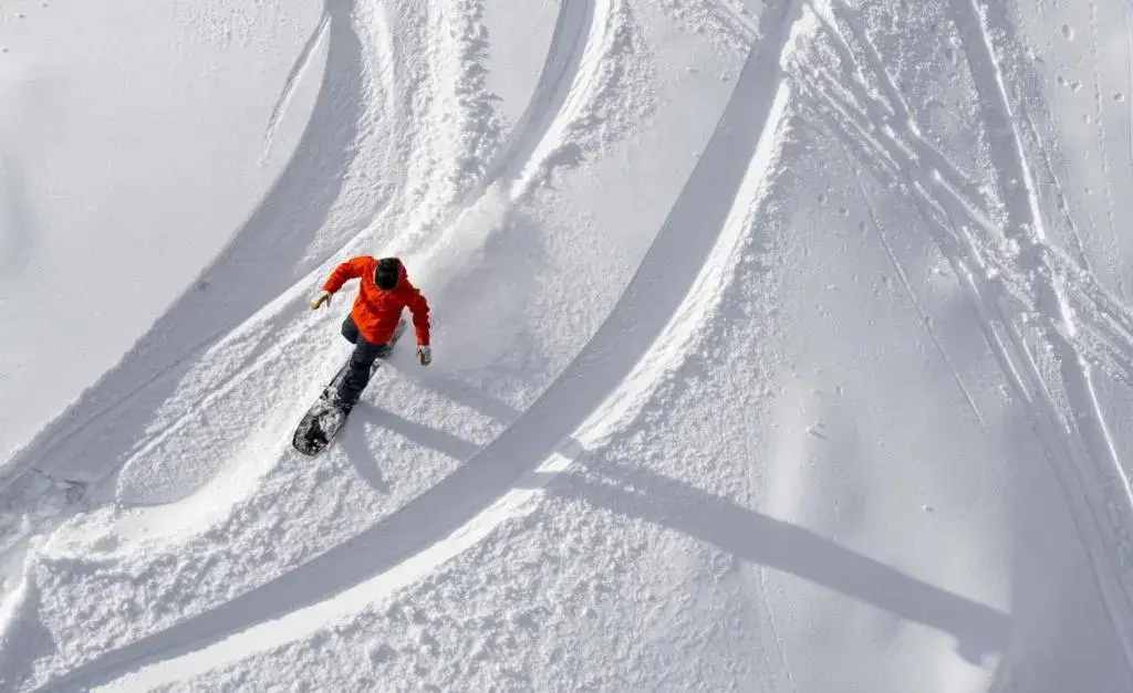 Close-up of a snowboard cutting through fresh snow.